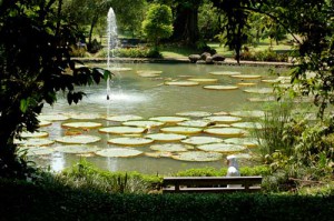 Bogor Botanical Garden