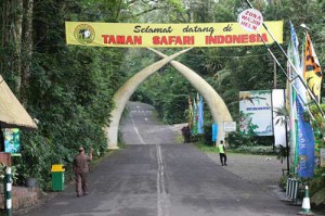 Taman Safari Bogor Indonesia