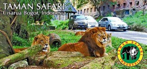 Taman Safari Bogor Indonesia