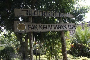 Wanagama Forest Yogyakarta Indonesia