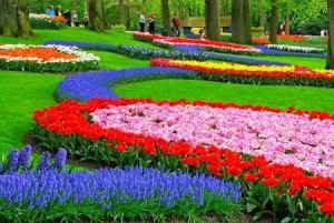 Beautiful Nusantara Flowers Park Indonesia