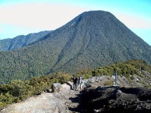 Scary and Amazing Gede Mountain Indonesia