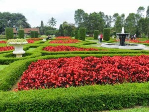 Beautiful Nusantara Flowers Park Indonesia