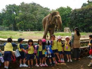 Ragunan Zoo Jakarta Indonesia