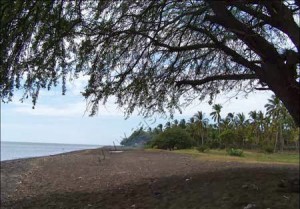Pantai Banongan Situbondo