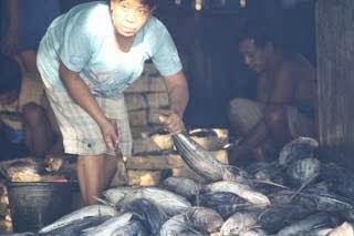 Pelelangan Ikan Mimbo Situbondo