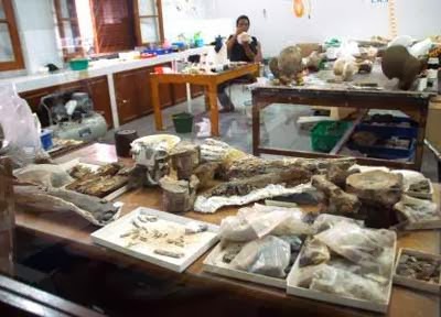 Wisata Sejarah ke Museum geologi Bandung 3