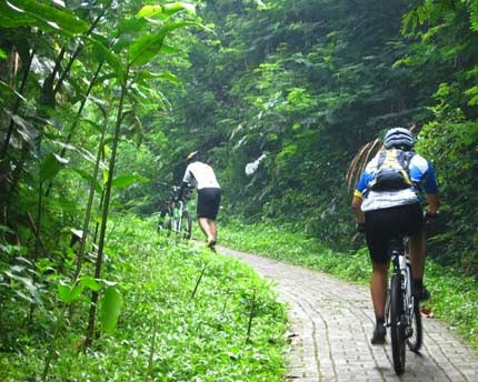 Sepeda gunung di Taman Hutan Raya Juanda