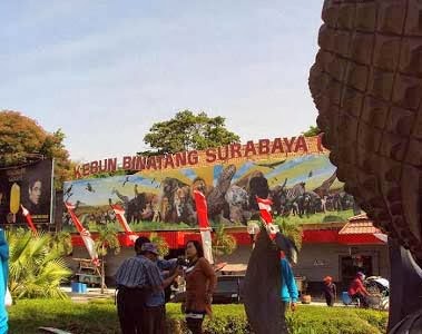 Berlibur ke Kebun Binatang Surabaya