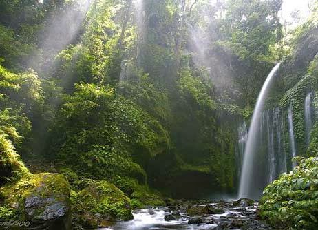 Beautiful Tiu Kelep Water Fall - Lombok NTB