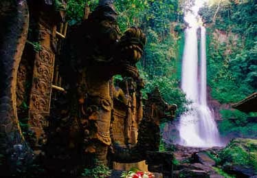 Beautiful Gitgit Waterfall Bali - Indonesia 3