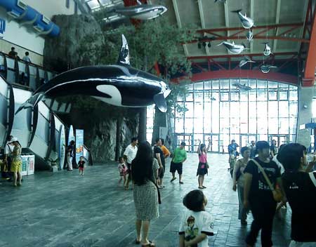 Museum Seaworld Ancol Jakarta