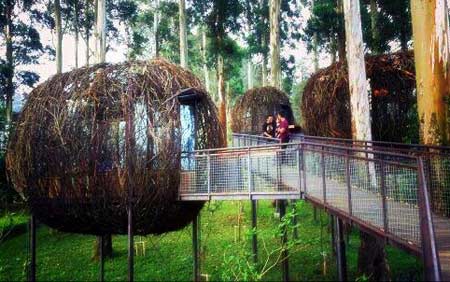 Dusun bambu Lembang Cisarua