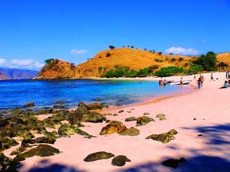 Pantai Pink Lombok NTB