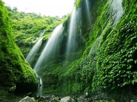 Beautiful Madakaripura waterfall