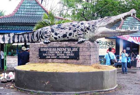 Taman Buaya Indonesia Jaya Bekasi 