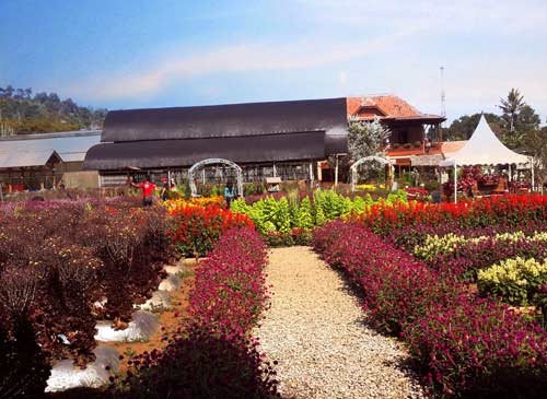 Taman Bunga Lembang