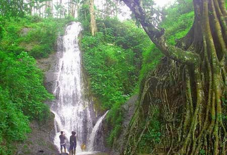 Wisata Roro Kuning