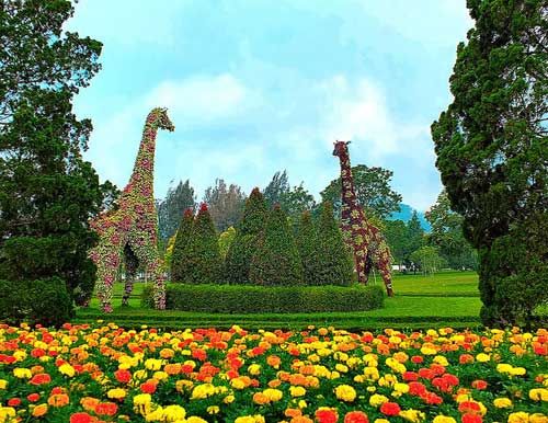 LIBURAN DI TAMAN BUNGA NUSANTARA CIPANAS YANG SERU