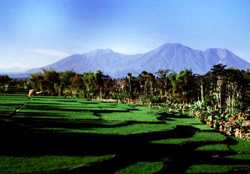 WISATA KE GUNUNG  KAWI  DI MALANG  JATIM Tempat Wisata 