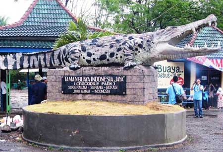 WEEKEND DI TAMAN BUAYA INDONESIA JAYA BEKASI WEEKEND DI TAMAN BUAYA INDONESIA JAYA BEKASI