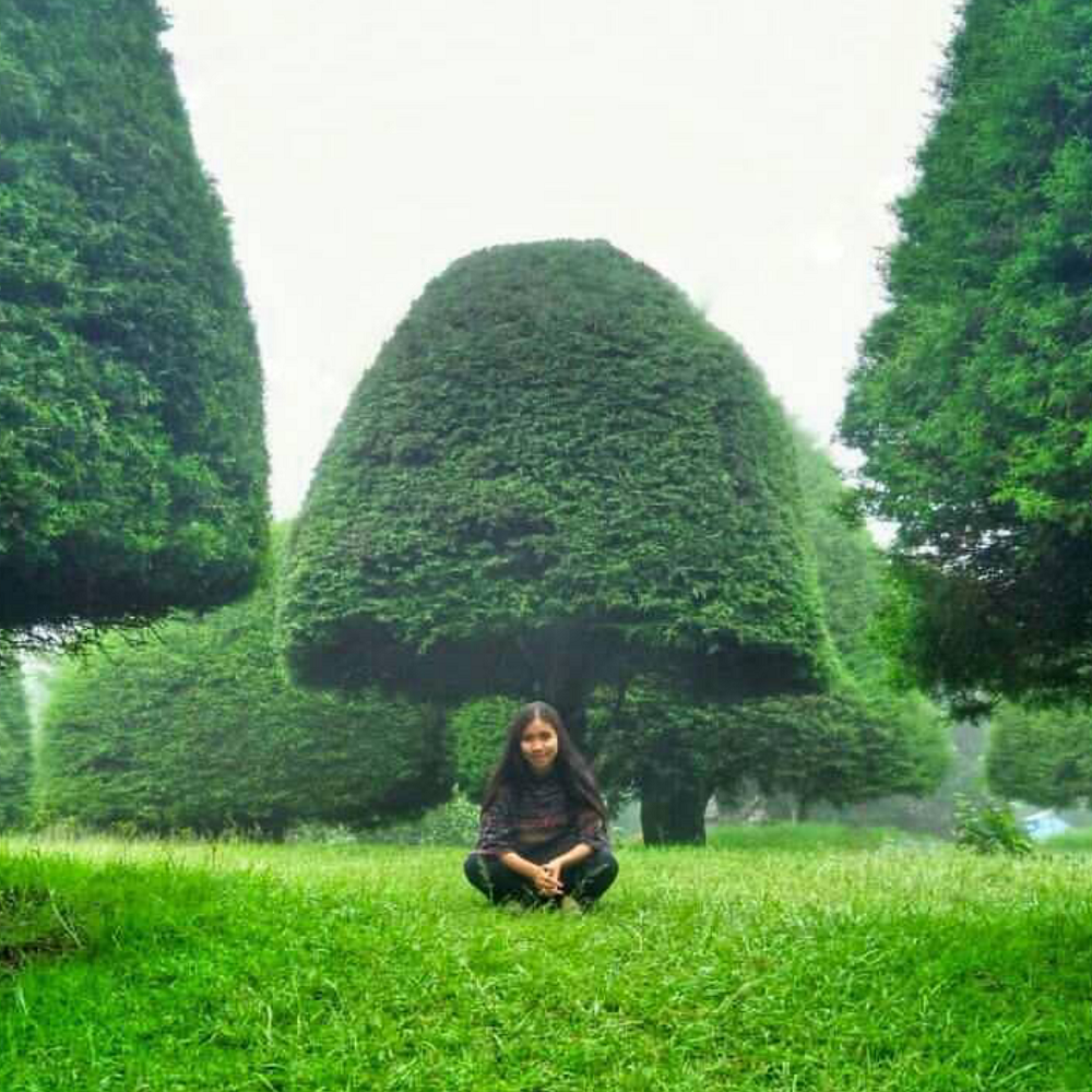 BUKIT JAMUR RANCABOLANG  CIWIDEY BANDUNG Tempat Wisata 